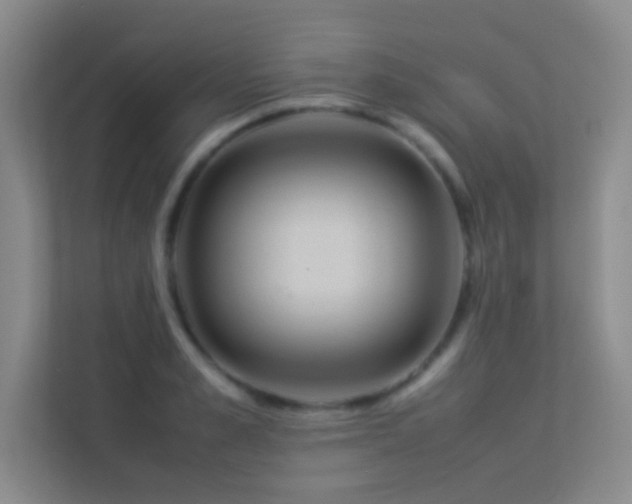 X0000113910989200909241506