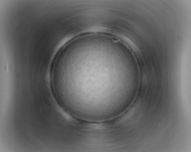 X0000113910990200909241506