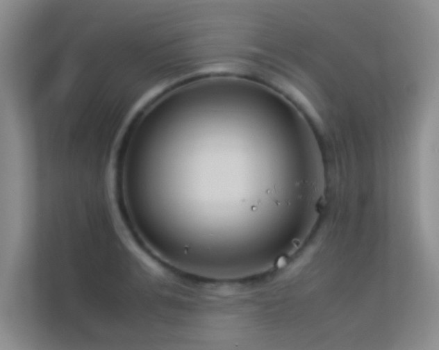 X0000113910991200909241506