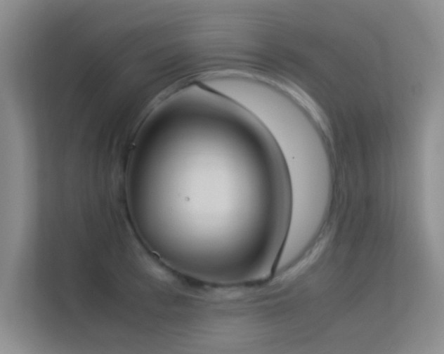 X0000113910993200909241506