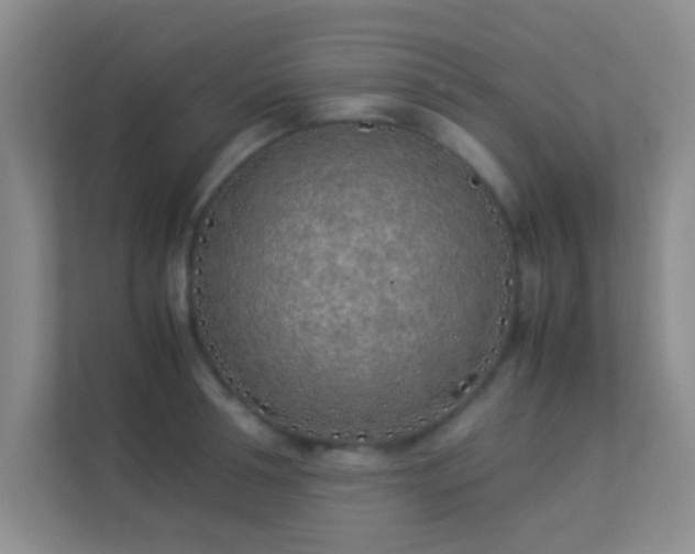 X0000113910994200909241506