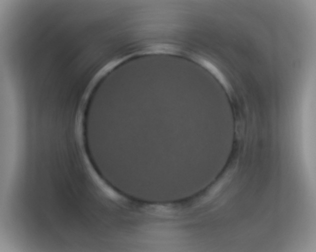 X0000113910995200909241506