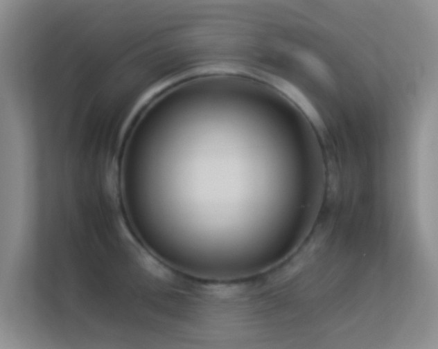 X0000113910996200909241506