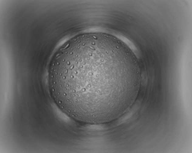X0000113910998200909241506