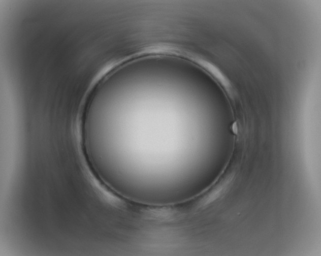 X0000113910999200909241506