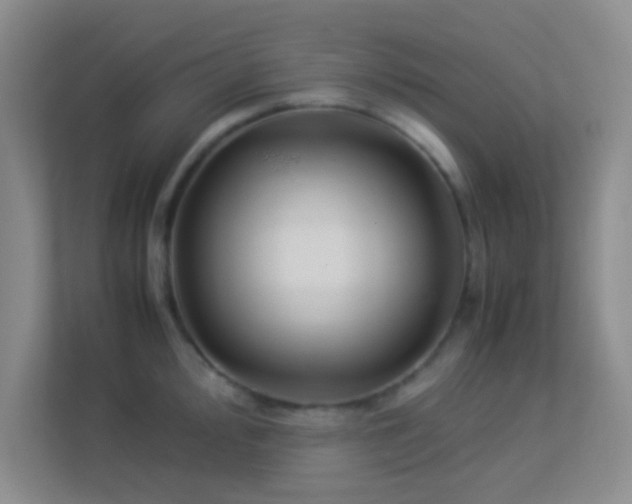 X0000113911000200909241506