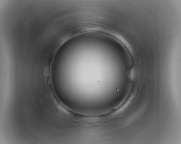 X0000113911001200909241506