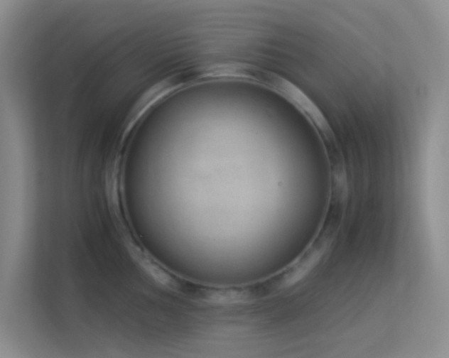 X0000113911002200909241506