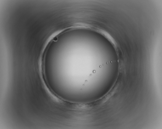 X0000113911003200909241506