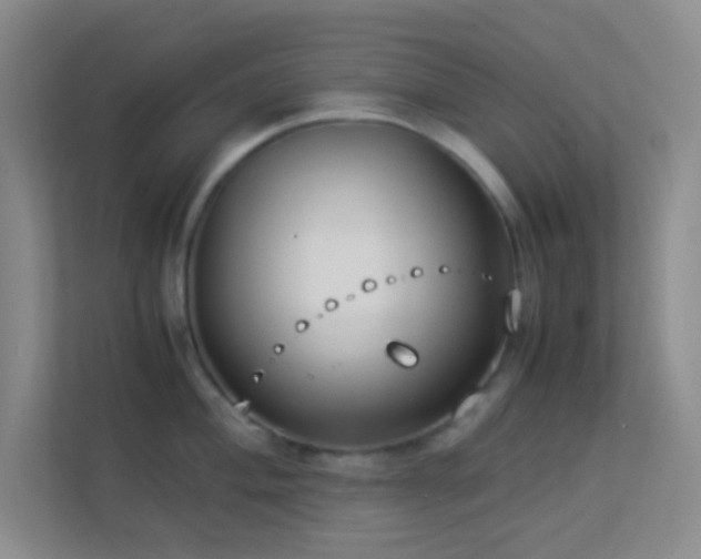 X0000113911004200909241506