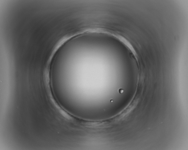 X0000113911005200909241506