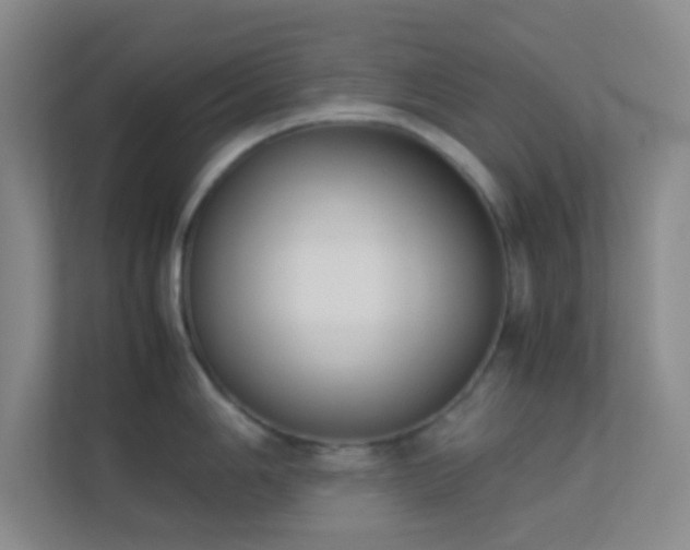 X0000113911006200909241506