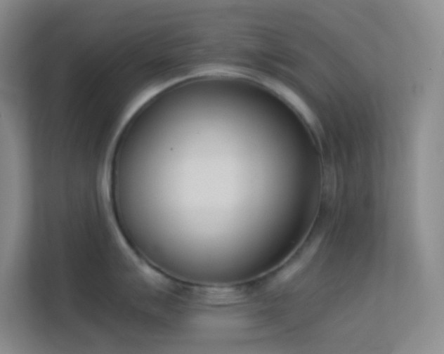 X0000113911007200909241506