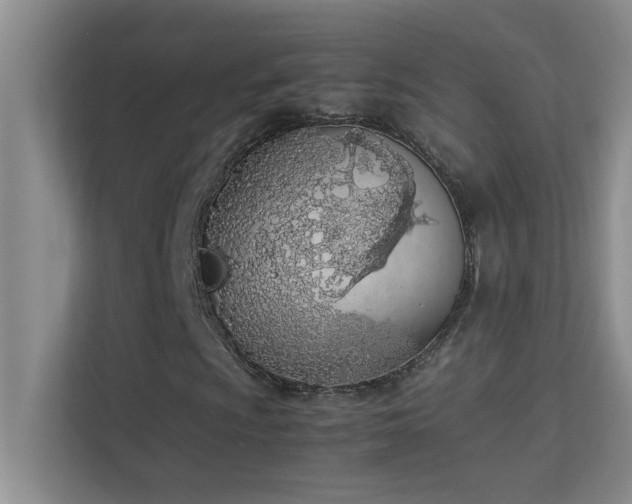 X0000113911009200909241505