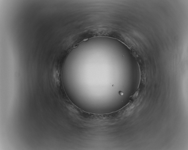 X0000113911010200909241505