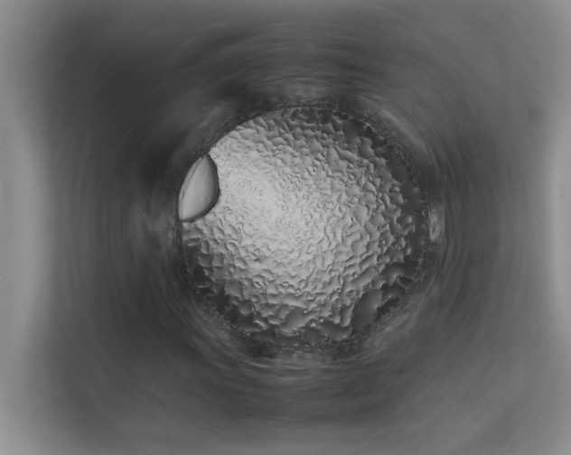 X0000113911011200909241505