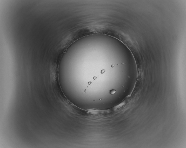 X0000113911012200909241505