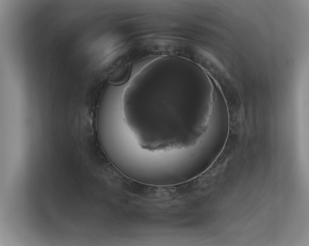 X0000113911013200909241505