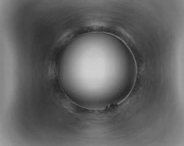X0000113911014200909241505