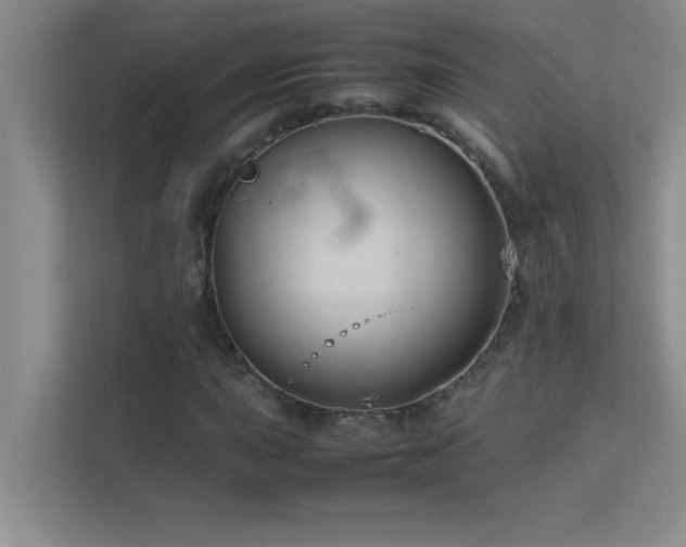 X0000113911015200909241505