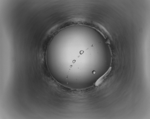 X0000113911016200909241505