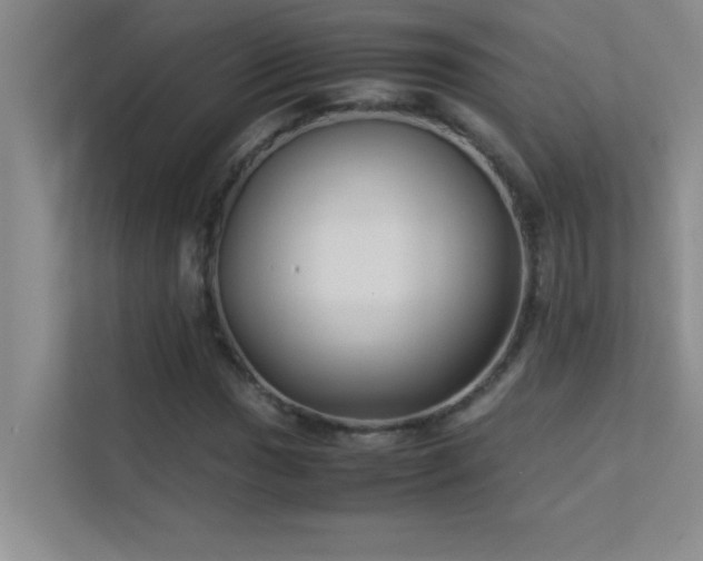 X0000113911017200909241505