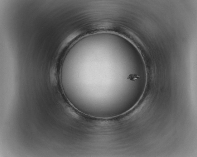 X0000113911018200909241505
