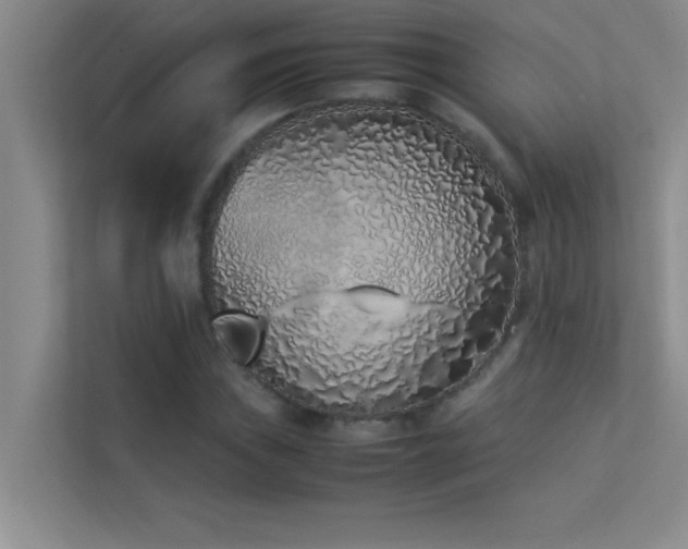 X0000113911019200909241505