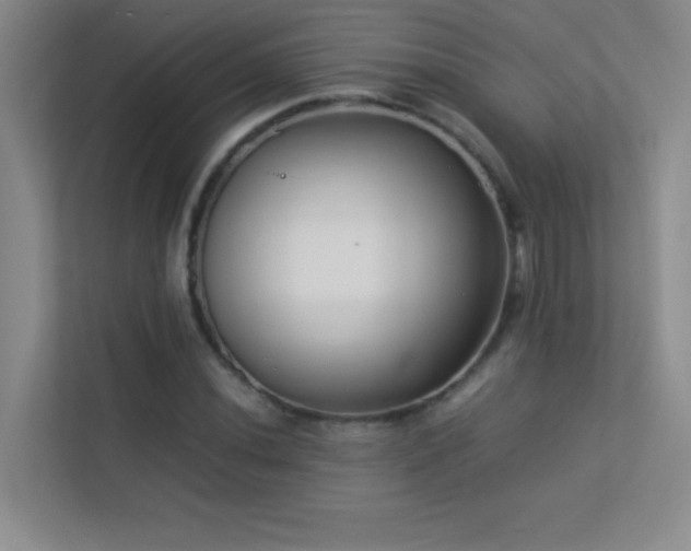 X0000113911020200909241505