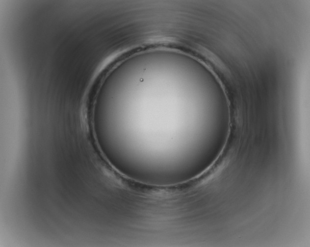 X0000113911022200909241505