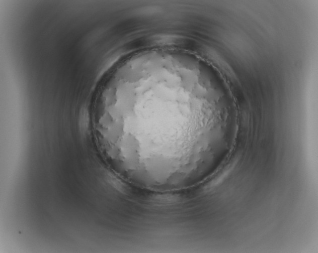 X0000113911023200909241505