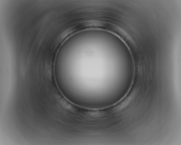 X0000113911025200909241505