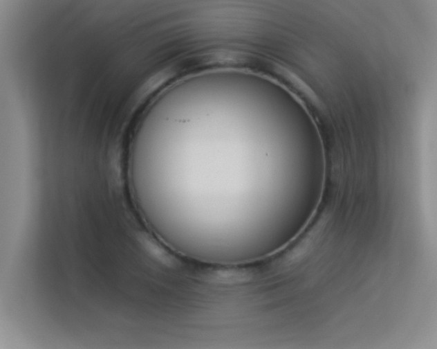 X0000113911026200909241505