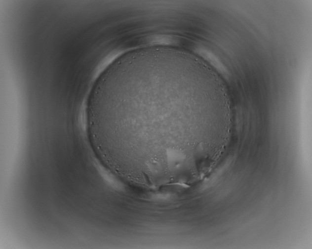 X0000113911031200909241505
