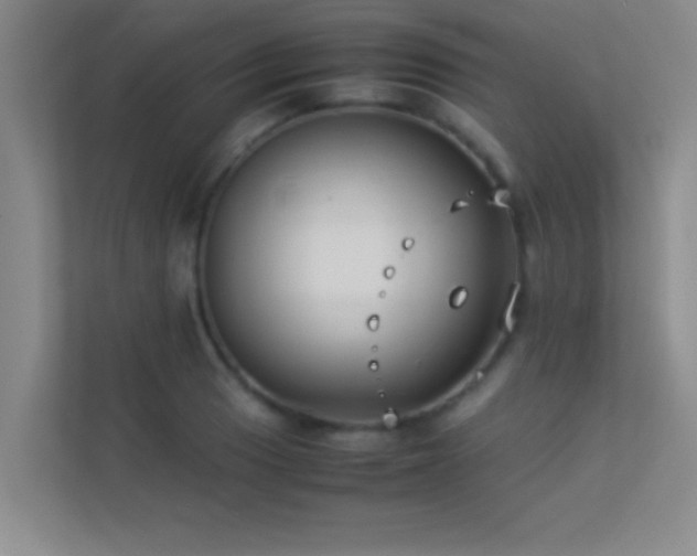 X0000113911033200909241505