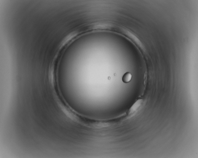 X0000113911034200909241505