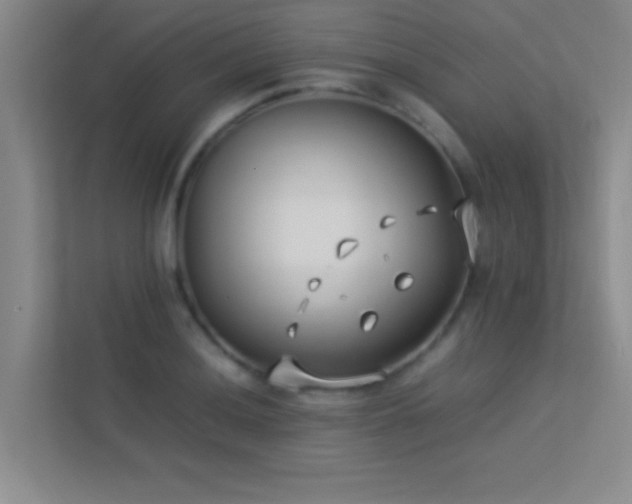 X0000113911036200909241505