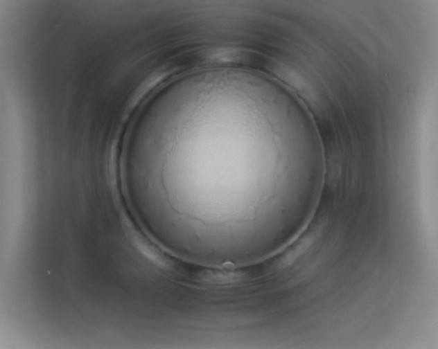 X0000113911039200909241505