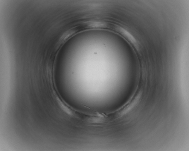 X0000113911041200909241505