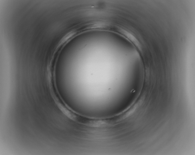X0000113911042200909241505