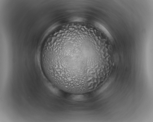 X0000113911043200909241505