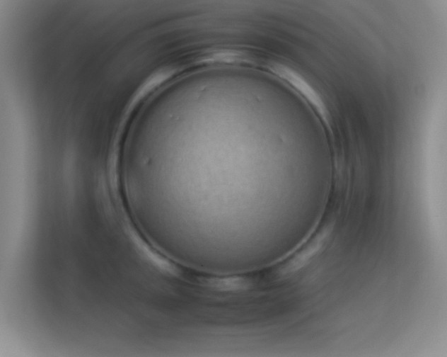 X0000113911045200909241505
