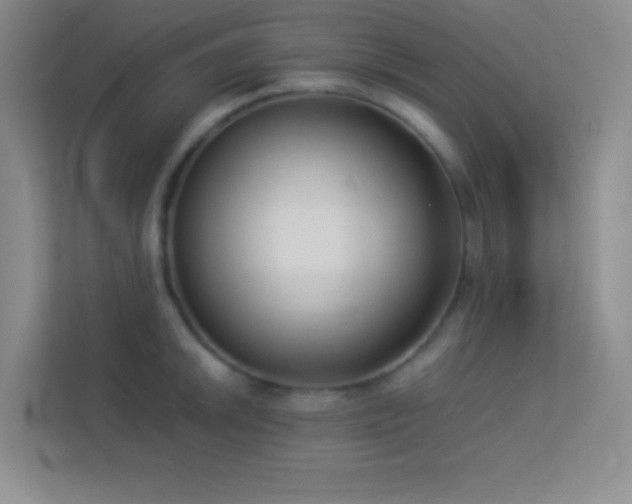 X0000113911046200909241505