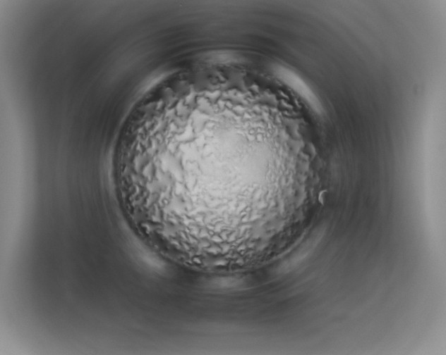 X0000113911047200909241505