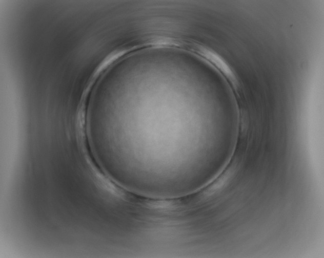 X0000113911048200909241505