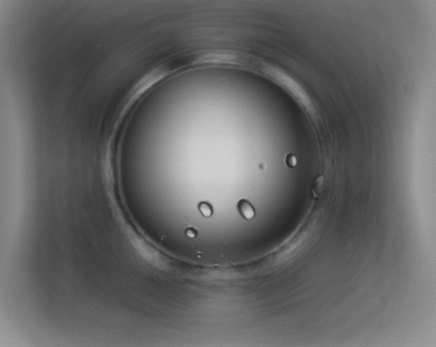 X0000113911050200909241505