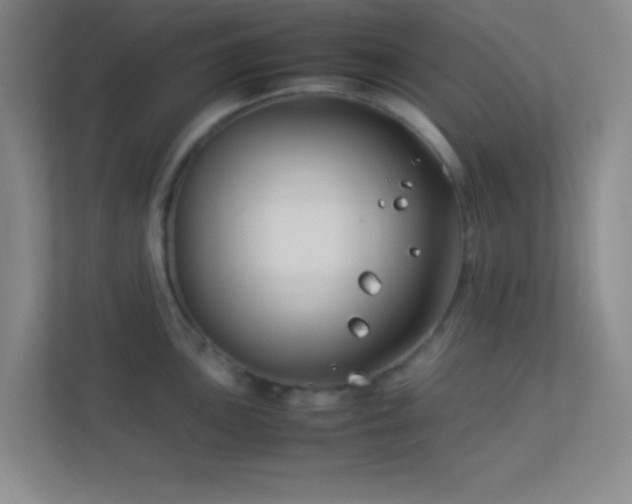 X0000113911051200909241505