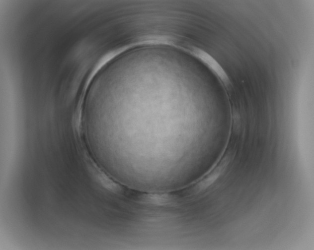 X0000113911052200909241505