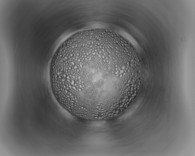 X0000113911055200909241506