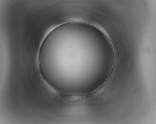 X0000113911056200909241506